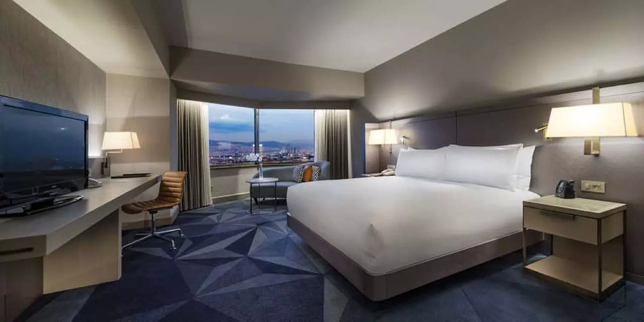 hilton_shabaviz (2).jpg